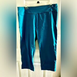 this is a teal pair of Euro brand size 14 pull on capris pants elastic waist